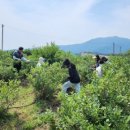 남규농장 이미지