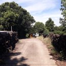 강정동-11 이미지