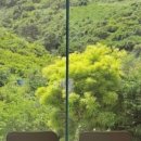 진영산복로 이미지