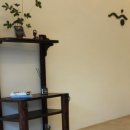 소호한의원 이미지