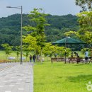 충청남도 천안시종합운동장 이미지