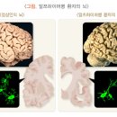 양생한의원 네이버블로그