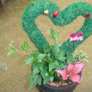 신애농장 이미지