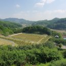 신기수목장 이미지