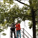 한반도면-8 이미지