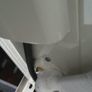 서삼중로 이미지