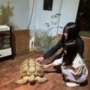 주)예닮 이미지