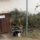 능남20 | [경주] 능남 20 한옥펜션 희락 내돈내산 주말 숙박 후기/ 10만원대 가성비 숙소