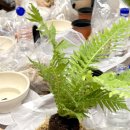 백합아파트경로당 이미지