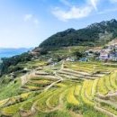 남면로-1 이미지