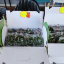 보드레모시떡송편 - 화성시 여울로4길 48 | 보드레모시떡송편