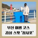 (주)블루라인 | 부산 해운대 아이와 가볼만한곳 블루라인파크 해변열차 청사포 후기
