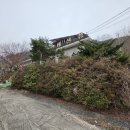 천태산장