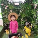 마전어린이집 이미지