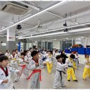 세정태권도 이미지