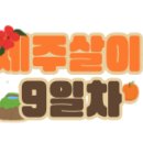 공설통큰우동돈까스