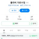 플라비 가로수점