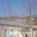 화수목경로당 이미지