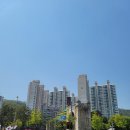 극동상가 | 독립문 극동아파트 임장 숲세권 솔직후기