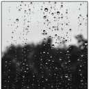 송림펜션 이미지