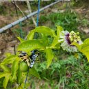 하날농장 이미지