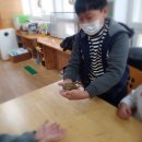 봉수농장 이미지