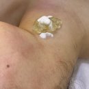 젠블리 라라 이미지