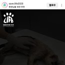 공기총 맞고 사망한 고양이 부검결과(사진은 어두움) 이미지