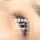 윈썸 | <창원> 창원중동속눈썹 속눈썹펌 재방문 후기 / 윈썸제이