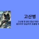 고산병 예방과 처치 네이버블로그
