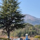 몸바로한의원 부곡점 | 창녕 부곡온천 로얄관광호텔 가족탕 | 키즈룸 말고 패밀리 트리플 대실 후기