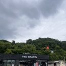 비디오일번지 | 단양 패러글라이딩 카페산 , 전 할생각이 없었는데요....가격 , 후기