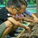 반디의꿈 이미지