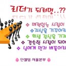 인셀덤퀸 - 완주군 | 인셀덤퀸