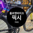 바이크유통 | 화성 동탄 오산 용인 픽시자전거 추천 폴로앤바이크 윌리암스버그 출고후기