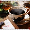 &#34;꿀&#34; 에 대한 상식 이미지