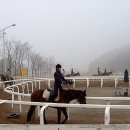 레이크밸리승마클럽 이미지