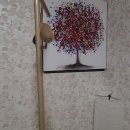 세븐일레븐 부산정관용수리점 | [부산에스테틱] 정관 미라클뷰티에서 플라즈마 진정관리 받고 온 솔직 후기