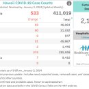 [ 하와이 코로나19 '주간' 방역상황 :: 2024년 1월 3일 발표 ] 신규.누적확진 / 평균 확진자.확진률 /사망자수.. 이미지