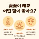 일상 속 생활 꽃꽂이 이미지