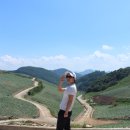 봉화랜드 이미지