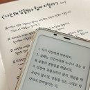 복슬 강아지미용실 | 2025. 09｜저 … 혹시 꿈을 찾고 있나요︖