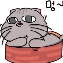 해피그루밍 네이버블로그