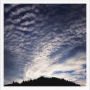 지렌트카 이미지