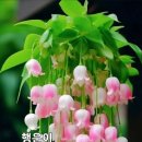 현충탑 소공원 이미지