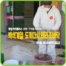 명일크린플러스 네이버블로그