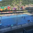 흰수염고래리조트 | 흰수염고래리조트 후기