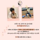 온하루 동물의료센터 이미지