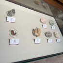 만남 노래연습장 | 경희대 후문발 경희대 자연사박물관 이문어린이도서관 천장산 산책로 코노 어린이 나들이 데이트 놀이 코스