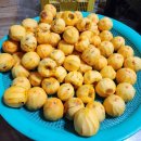 꼬독꼬독 이미지